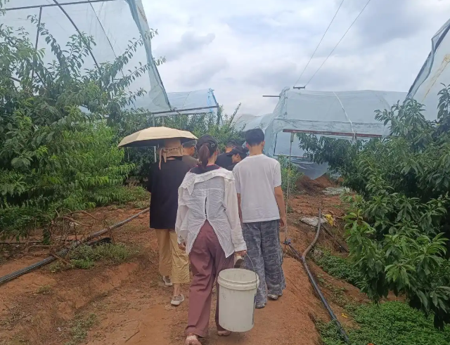 <b>青年学生走进千村考虑实际问题安排师生走进村庄家庭和学校</b>
